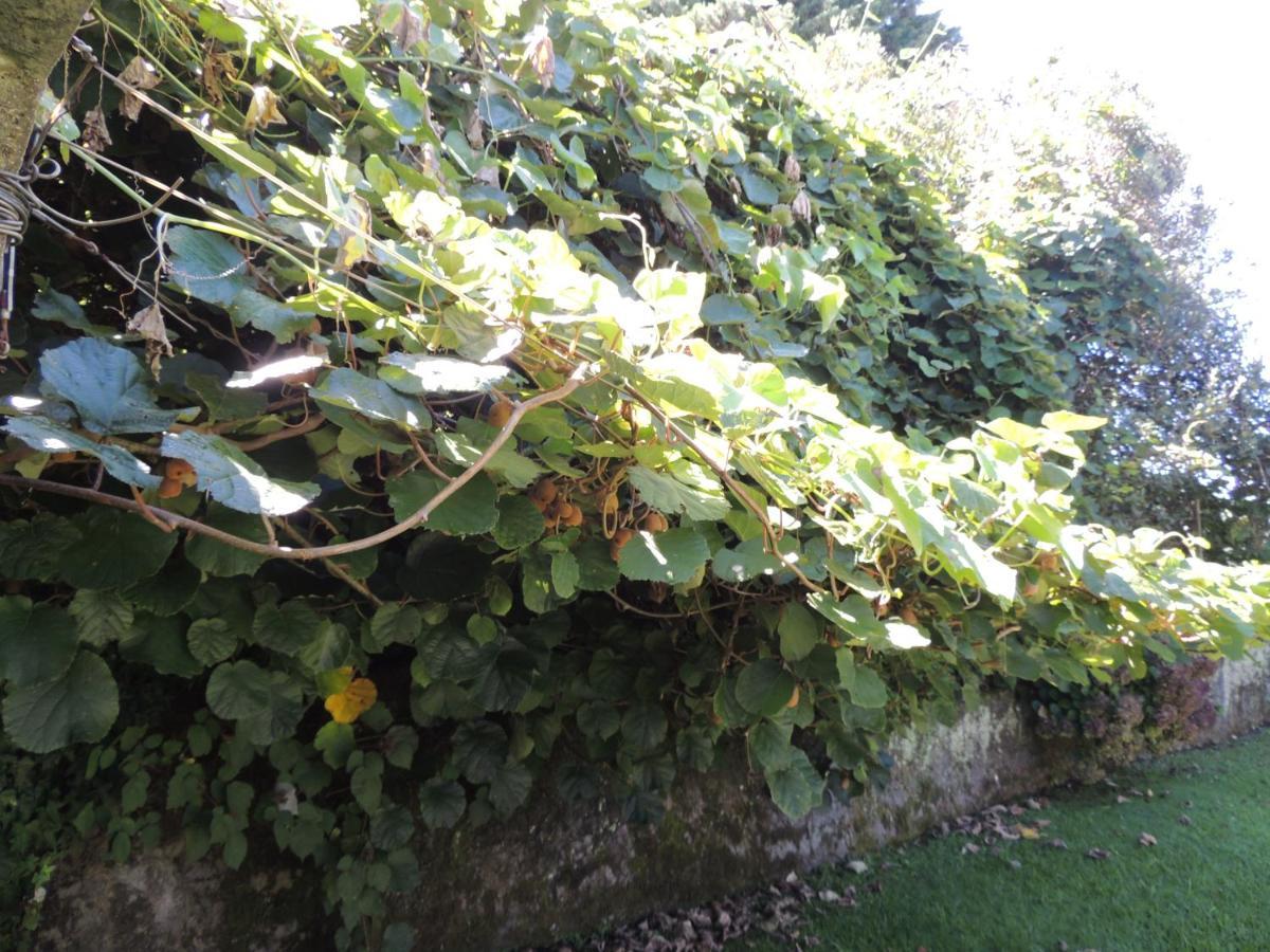 Recanto Dos Oliveiras Hospedada Por Dick E Clair Villa São Francisco de Paula Esterno foto